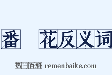 番紅花反义词是什么意思的图片